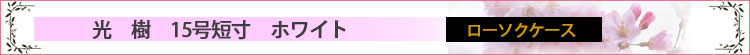 光樹15号短寸　ホワイト　ローソクケースロゴ